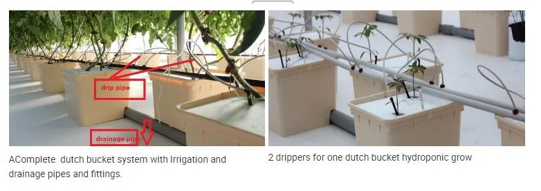 Hydroponic Project Show 2