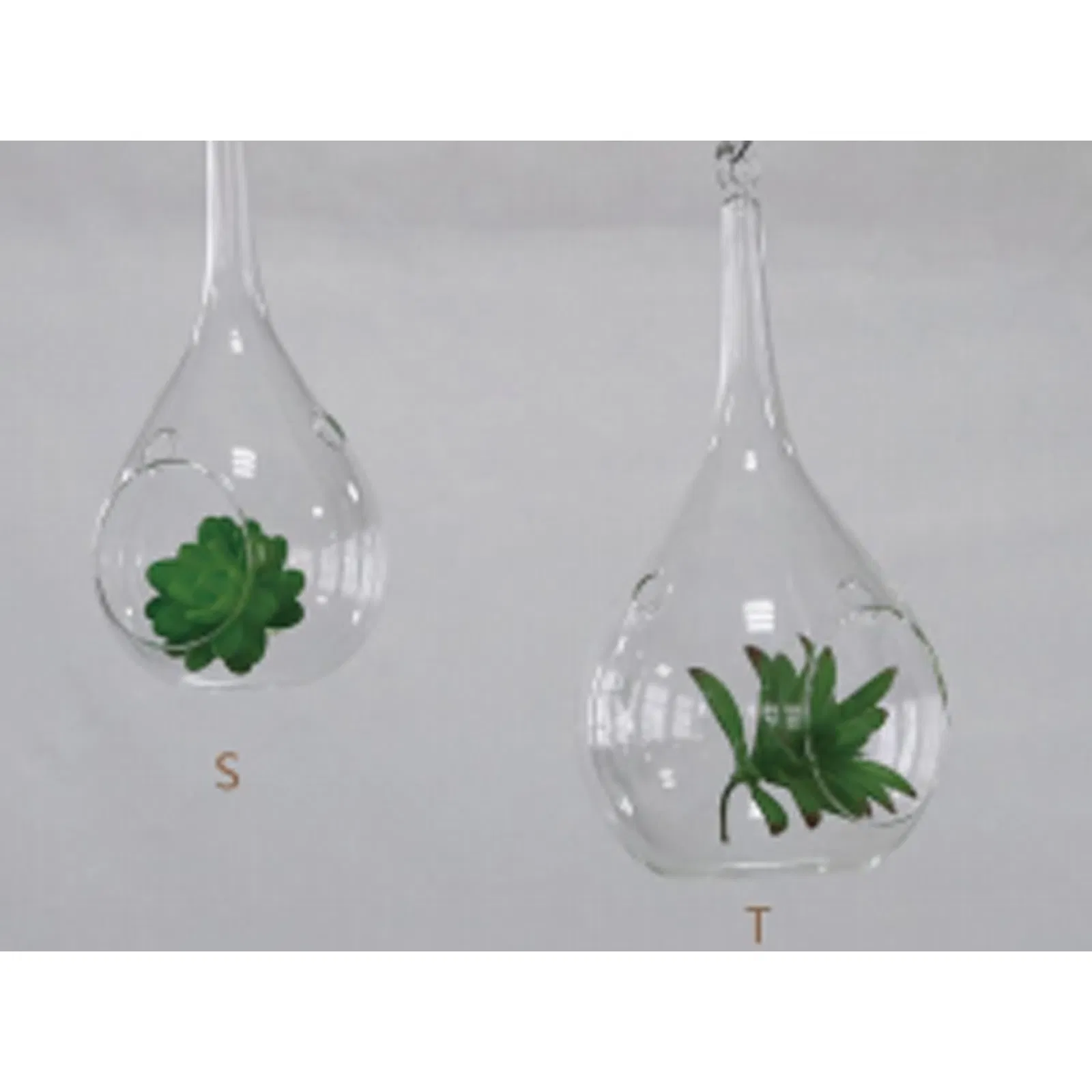 Clear Hanging Succulent Air Plant Terrarium with Rope Decoration