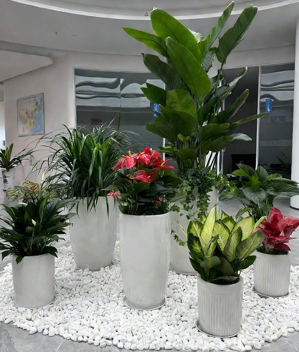 Artistic Design of Indoor Rhombus-Shaped Fiberglass Artificial Greenery Landscapes