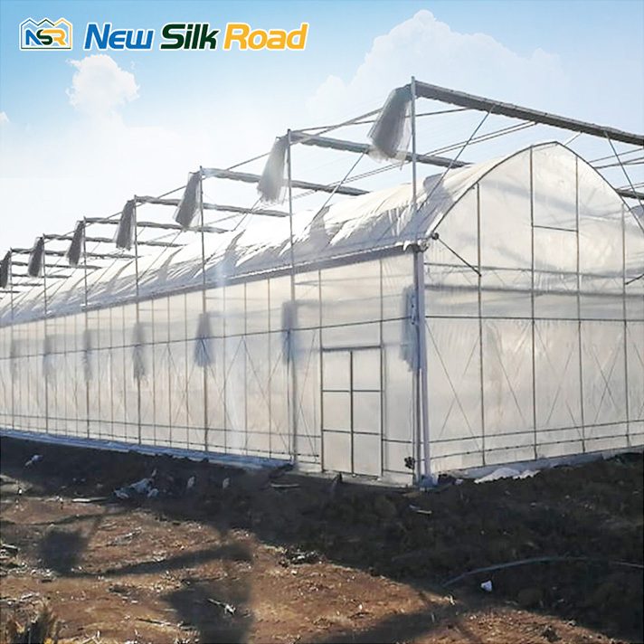 Gothic Film Tropical Greenhouses Hydroponic Growing Greenhouses for Tomato