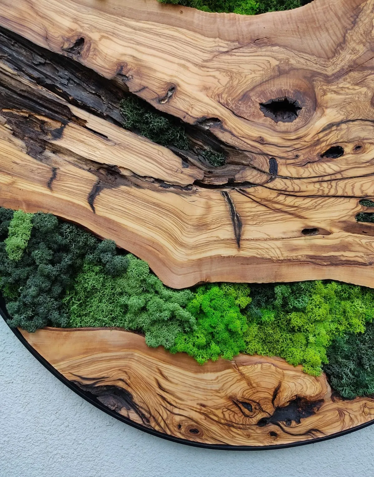 Custom Made Moss and Olive Wood Wall Art, Handmade Gift, Preserved Moss Art, Living Wall, Wall Decor, Wood Wall Art