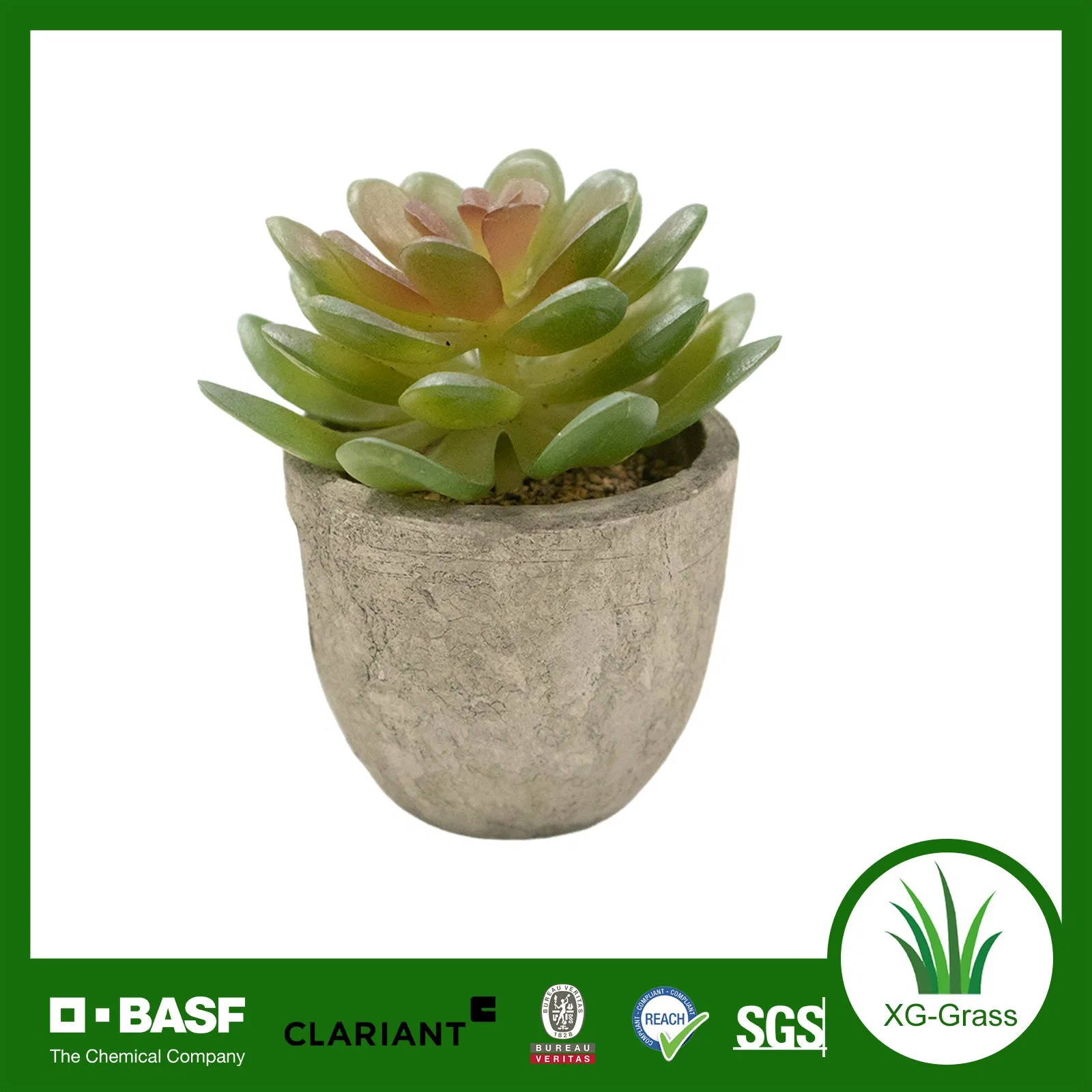 Lifelike Mini Succulent Art