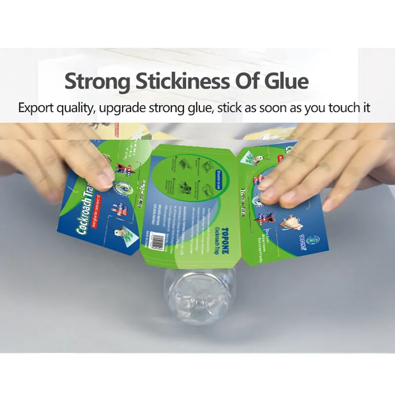 Cockroach House Details