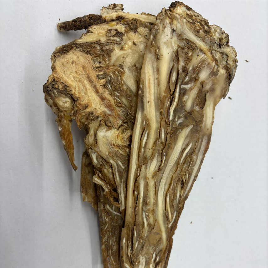 Hot Herbs Wholesale Chinese Herbs Medicinal Herbs Angelica Sinensis Chinese Herbs