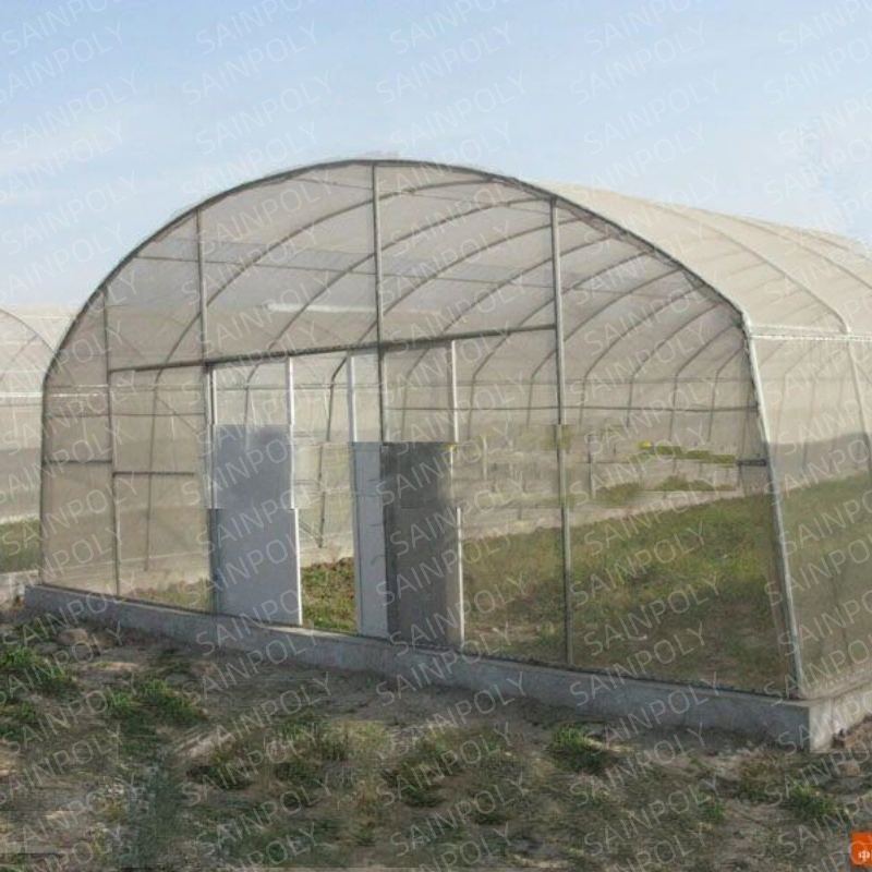 Mini Single Span Hydroponic Agricultural Tomato Film Tunnel Greenhouse Efficient Growth