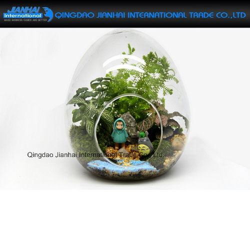 Fairy Garden Decor Egg Shaped Clear Glass Vase Terrariums