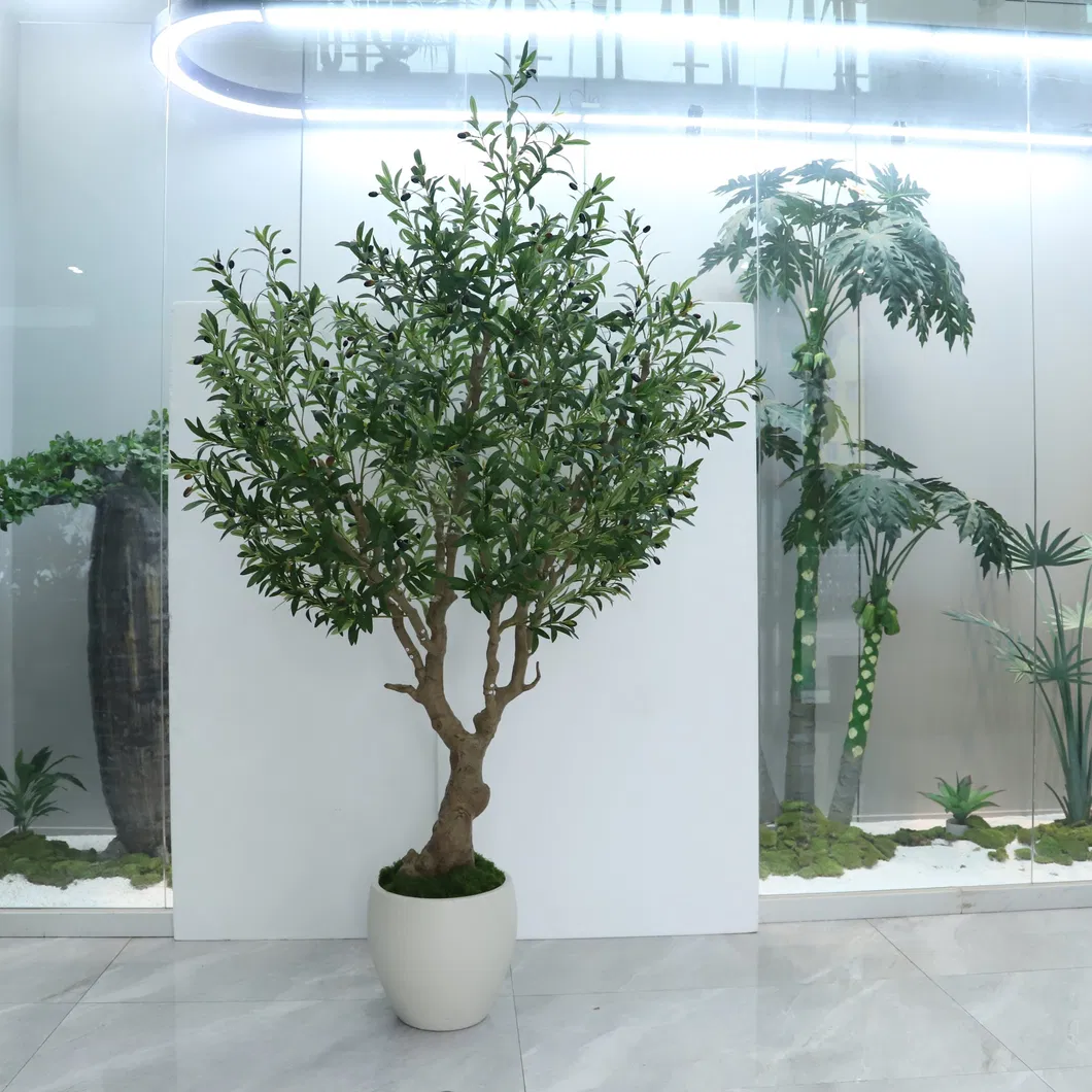Artificial Olive Tree Display