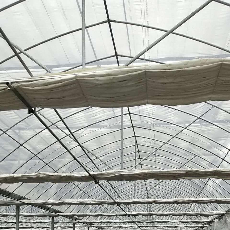 Sawtooth Vegetable and Flower Greenhouses with Warm Agro Technology