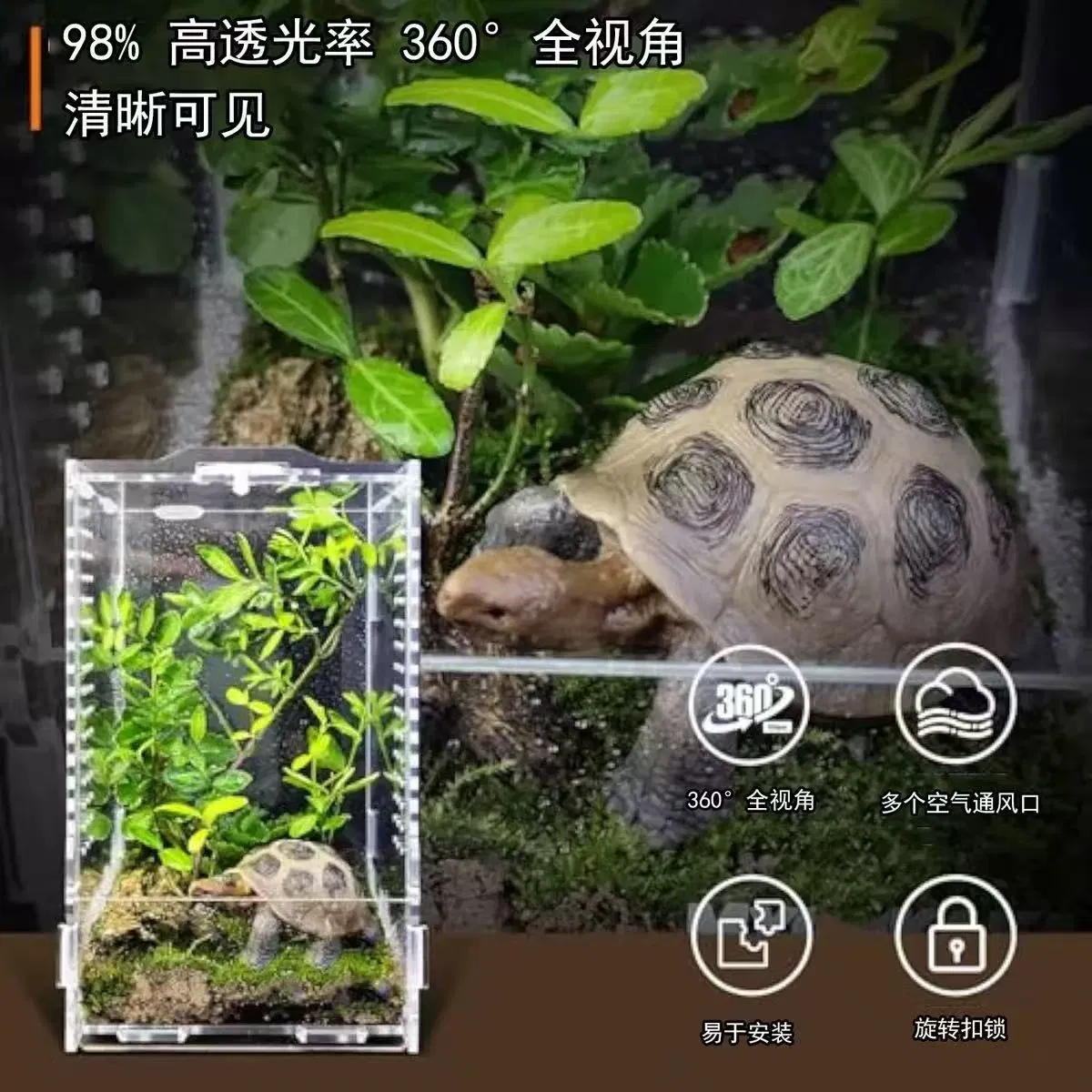 Wholesale ODM Acrylic Reptile Tank Magnetic Reptile Enclosure Breeding Box Terrarium Cage for Frog Spider Insect