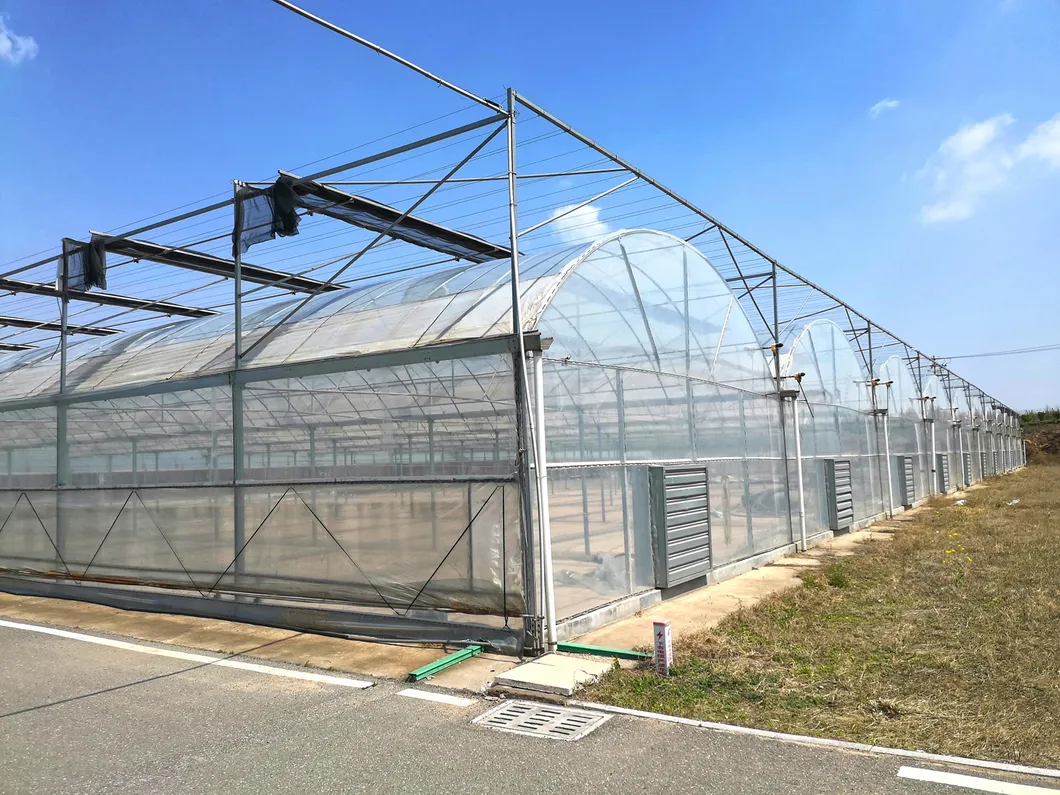 Greenhouse Display 3