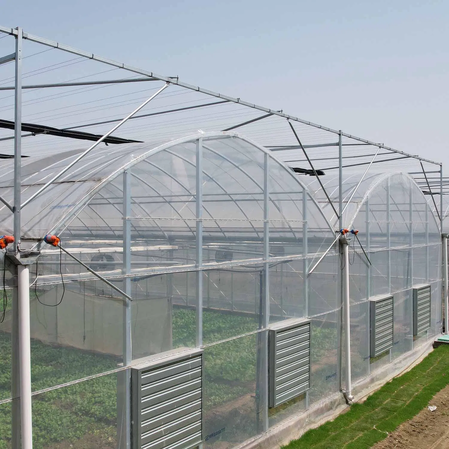 Frame Steel Galvanized Multi-Span/Plastic Film Greenhouse with Hydroponics Irrigation System for Strawberry/Flowers/Vegetables