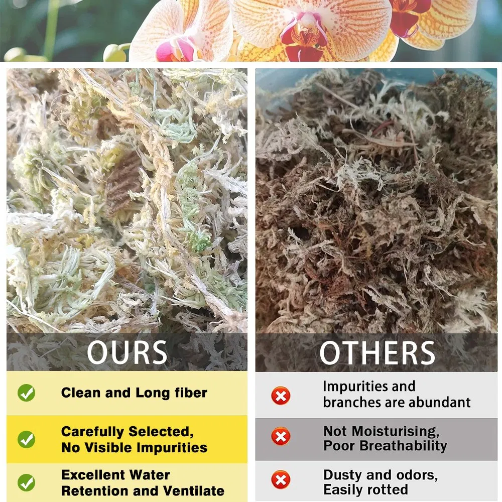 Factory-Direct Durable Sphagnum Moss for Plant Packaging &amp; Seedling Preservation
