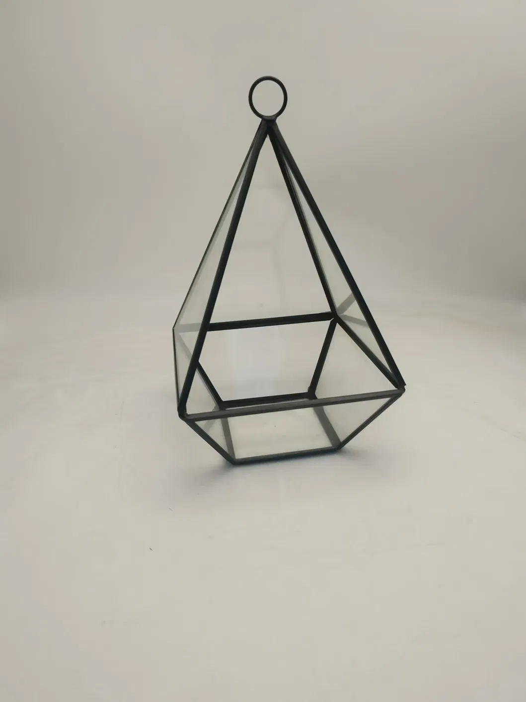 Glass Terrarium 2