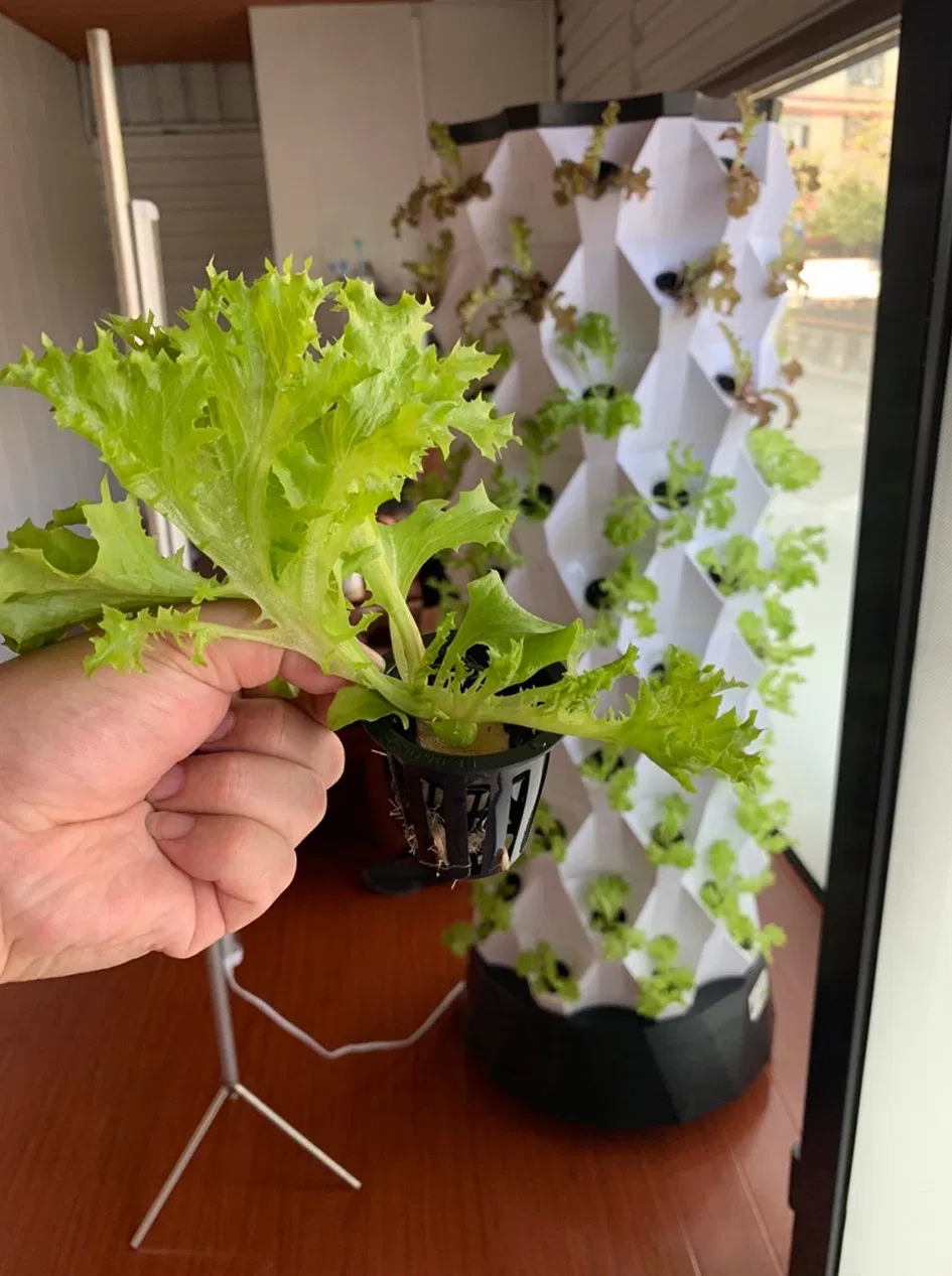 Home Garden Vertical Grow Kit Growing Systems Complete Hydroponic System Smart Home Automation System