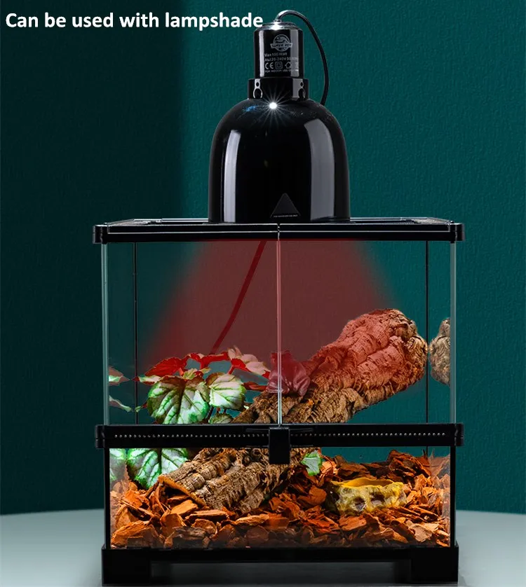 Terrarium Enclosure View 2