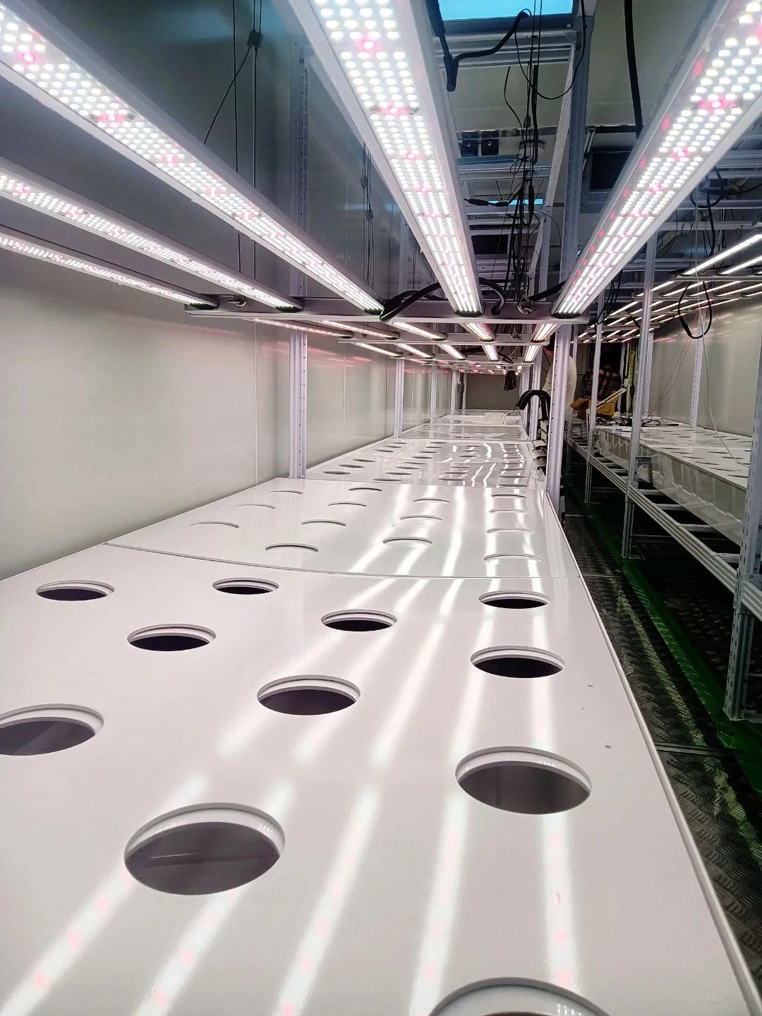 Data-Driven Container Cultivation with Advanced Lighting, HVAC &amp; Nutrient Management