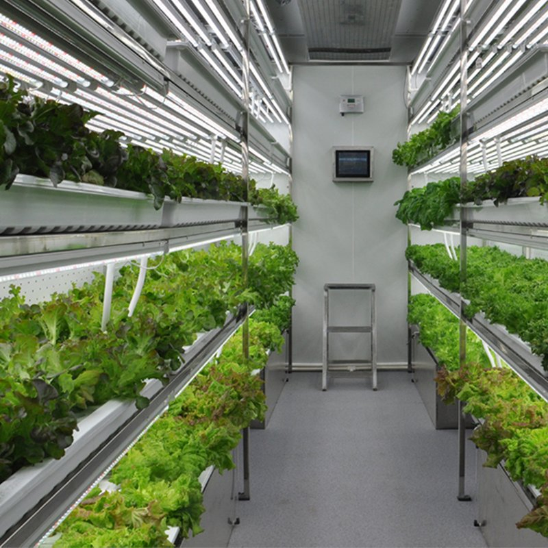 Rooftop Farm Nft Hydroponic System for Urban Sustainable Food Production