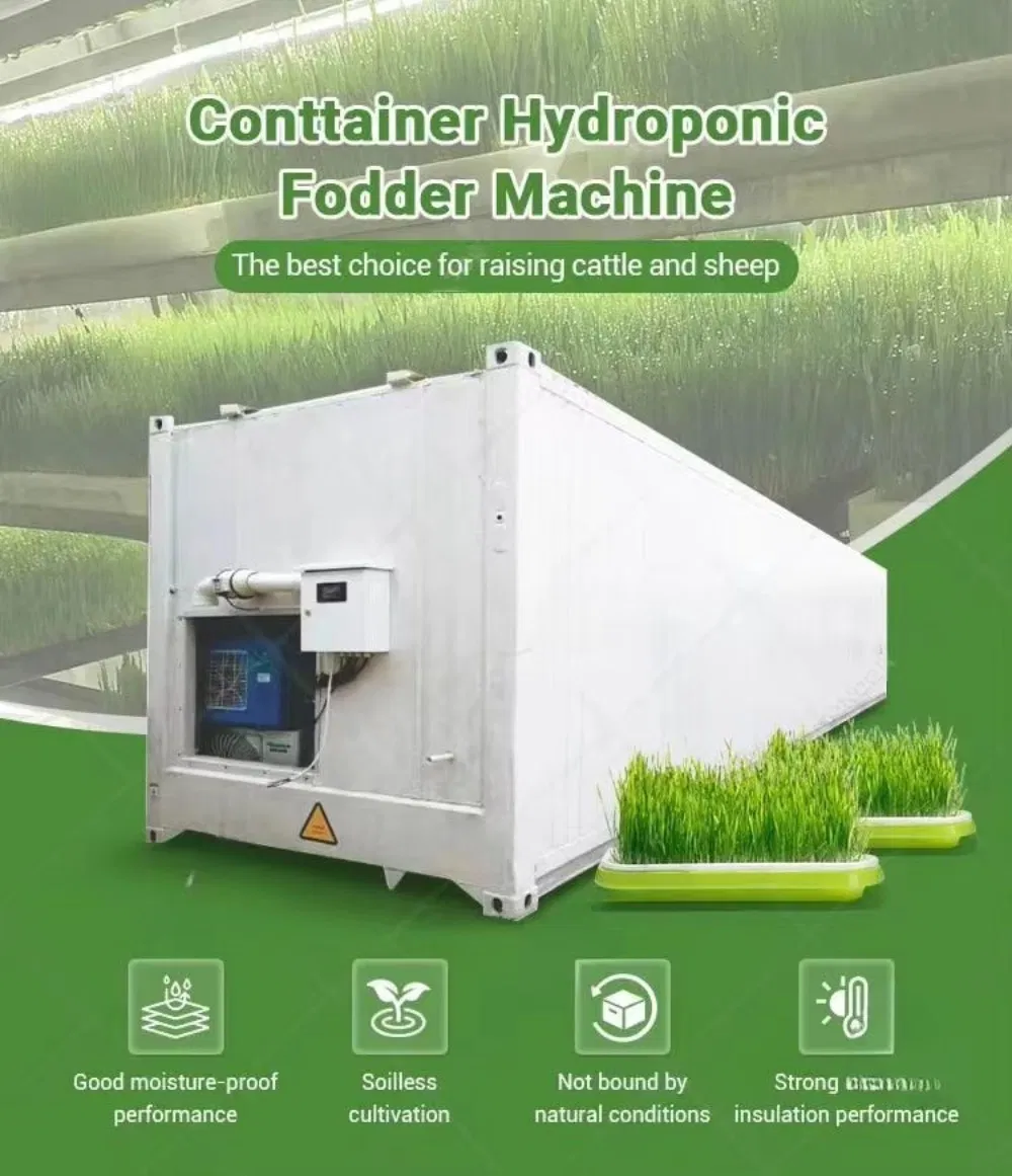 Wheat Grass Planting Container