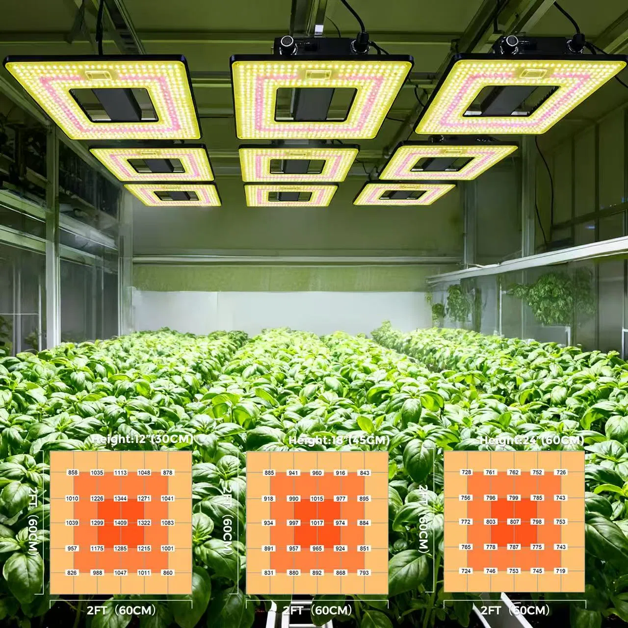 240W Commercial Grade LED Grow Lamp with Group Control Dimming Samsung Chips