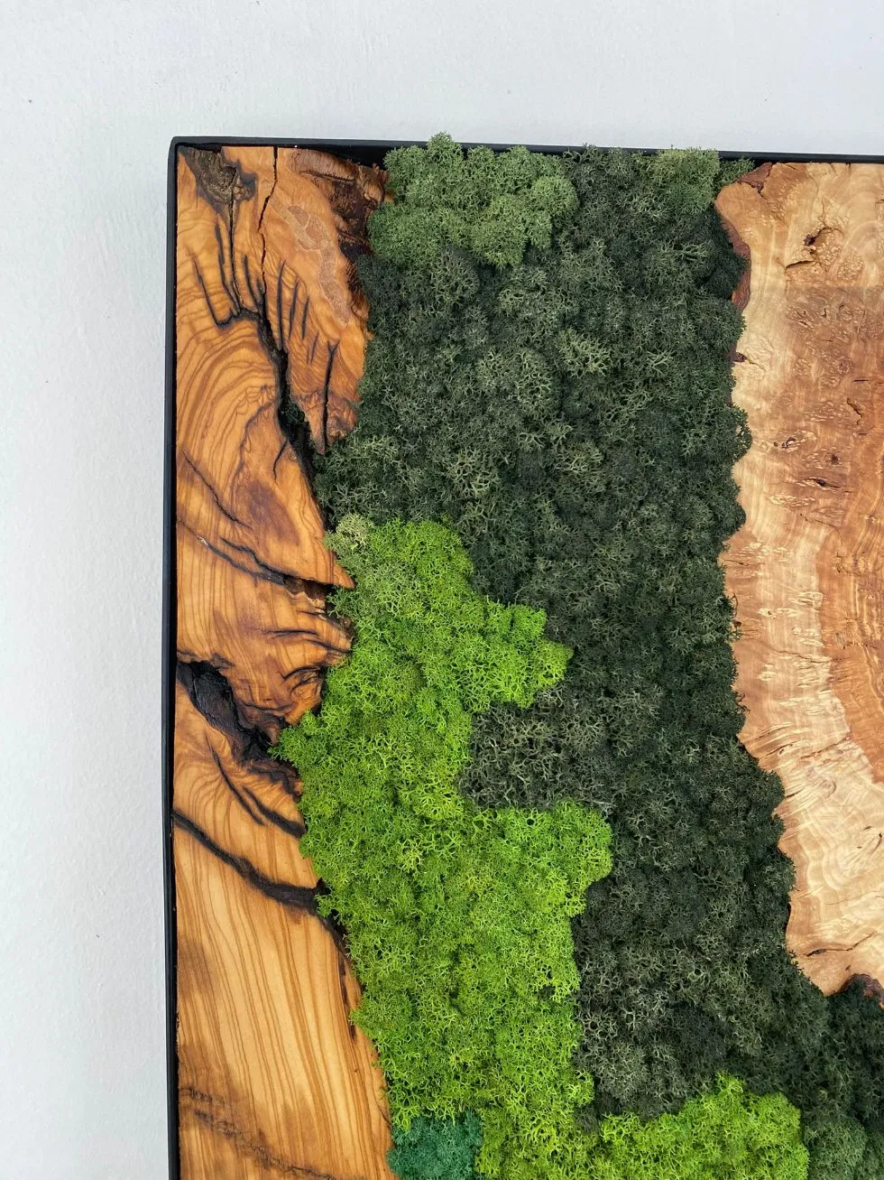 Custom Made Moss and Olive Wood Wall Art Metal Frame Moss Wall Decor Olive Wood and Moss Wall Art Preserved Stabilized Moss Wall Decor