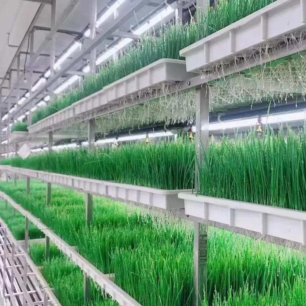 Hydroponics System Application 3