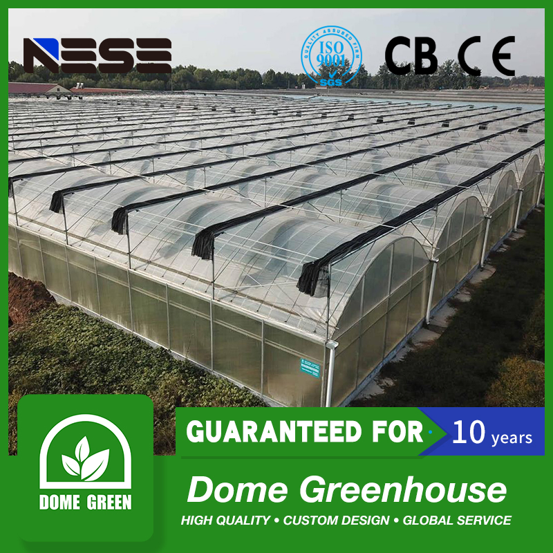 Multi-Span Plastic Greenhouse for Medicinal Herbs/Specialty Vegetables/Exotic Plants/Research &amp; Breeding