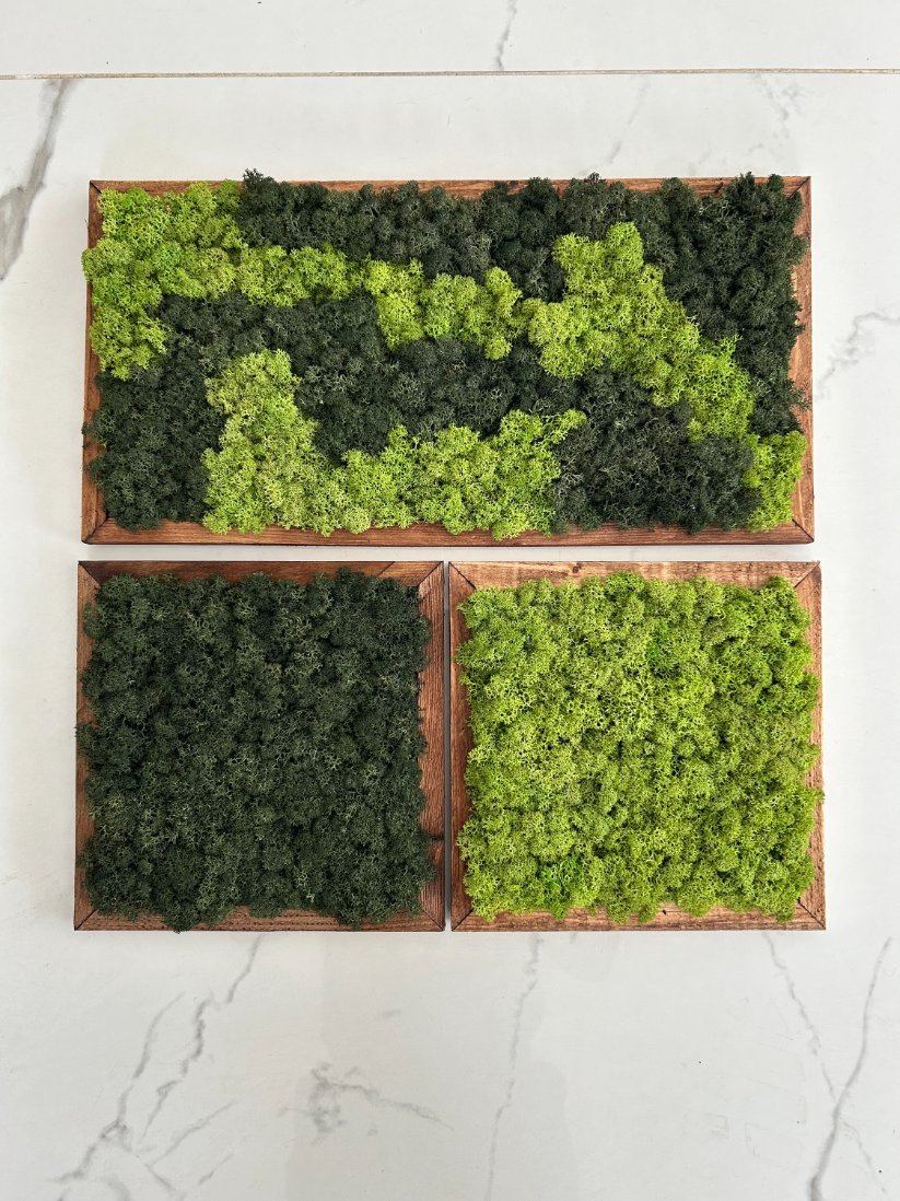 Moss Wall Art Moss Wall Decor Moss Wall Sets Made to Order Little Jungle