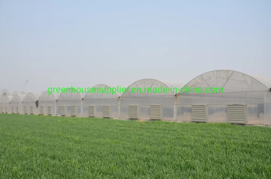 Commercial greenhouse overview