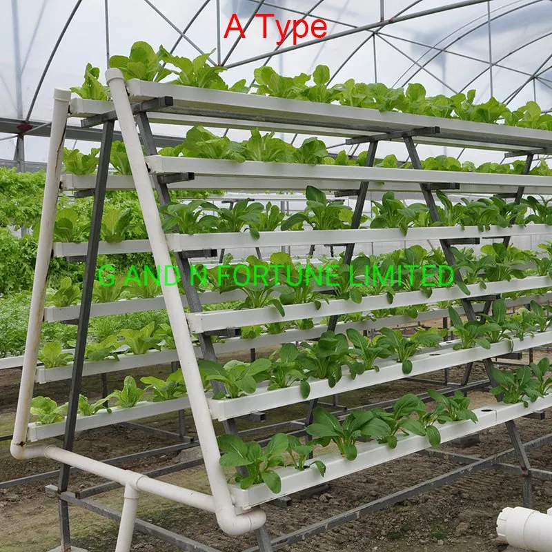 Greenhouse NFT System
