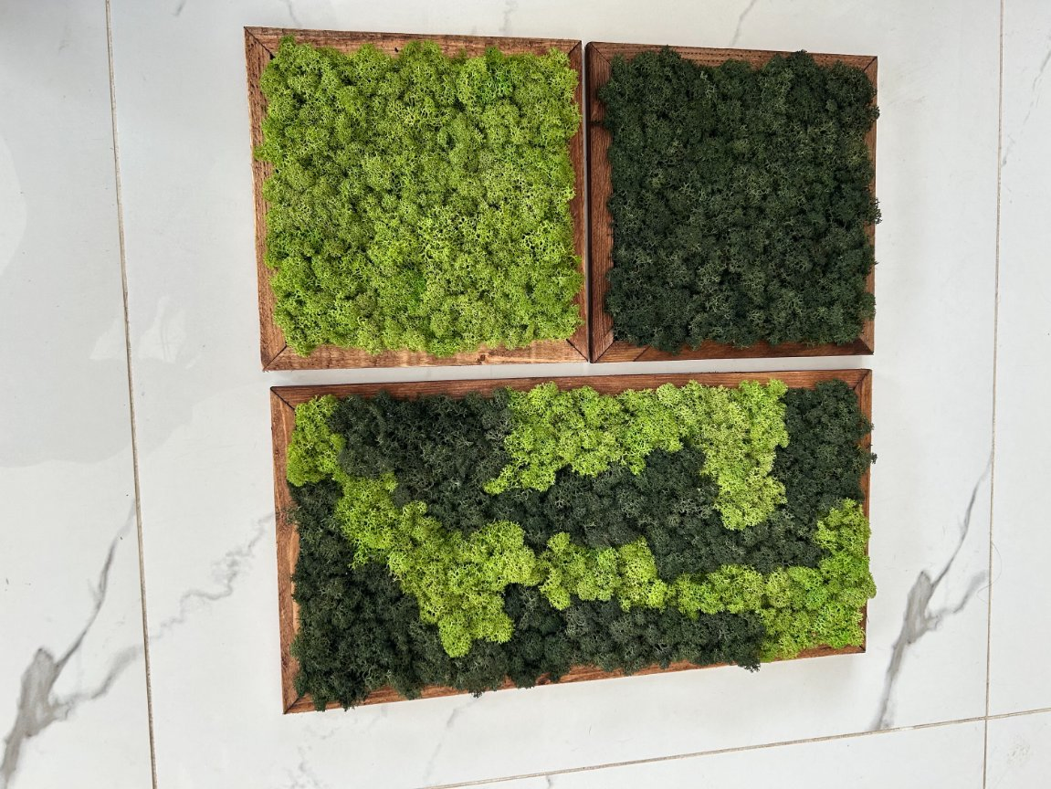 Moss Wall Art Moss Wall Decor Moss Wall Sets Made to Order Little Jungle