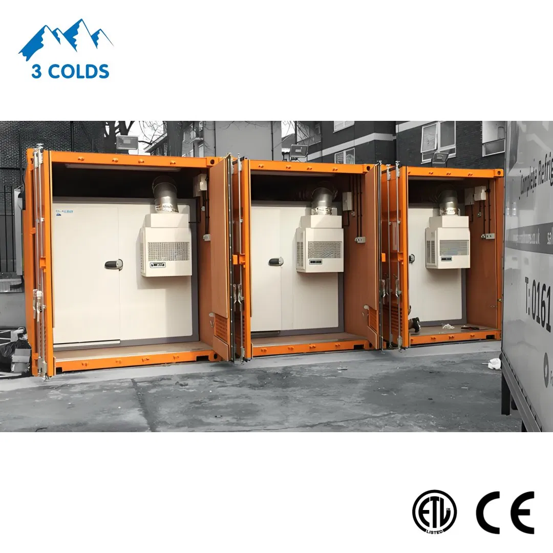 ETL Certificated Monoblock Refrigeration Unit for Cold Room Build in Container