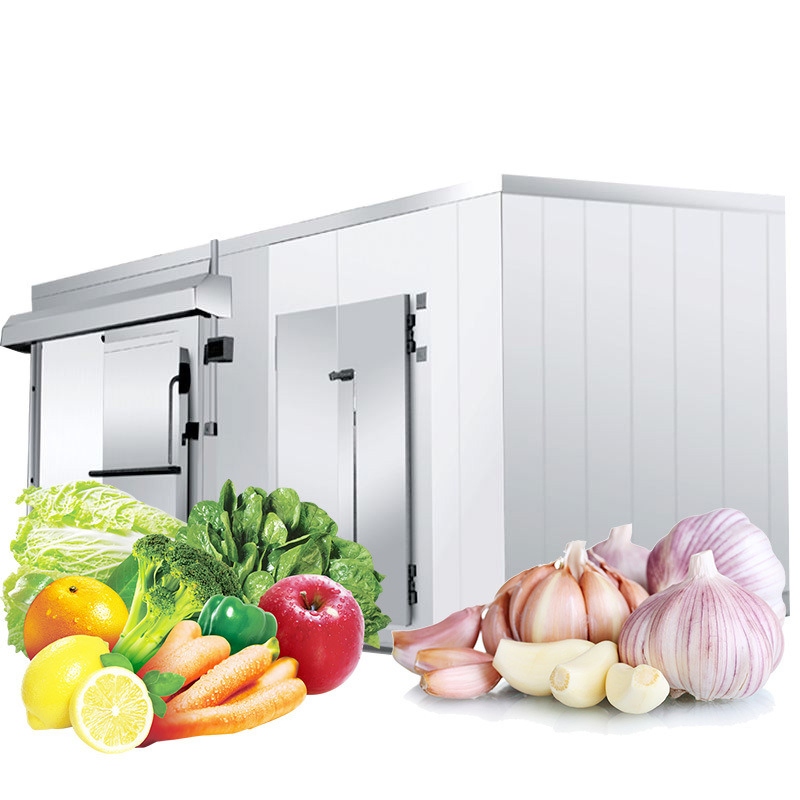 Industrial Condensing Unit Cold Storage Refrigerator Unit for Food