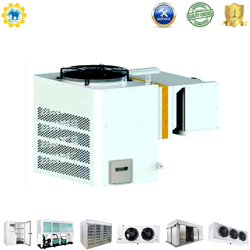 Retail Shop Refrigeration Unit with Bizter Compressor and Custom Evaporator