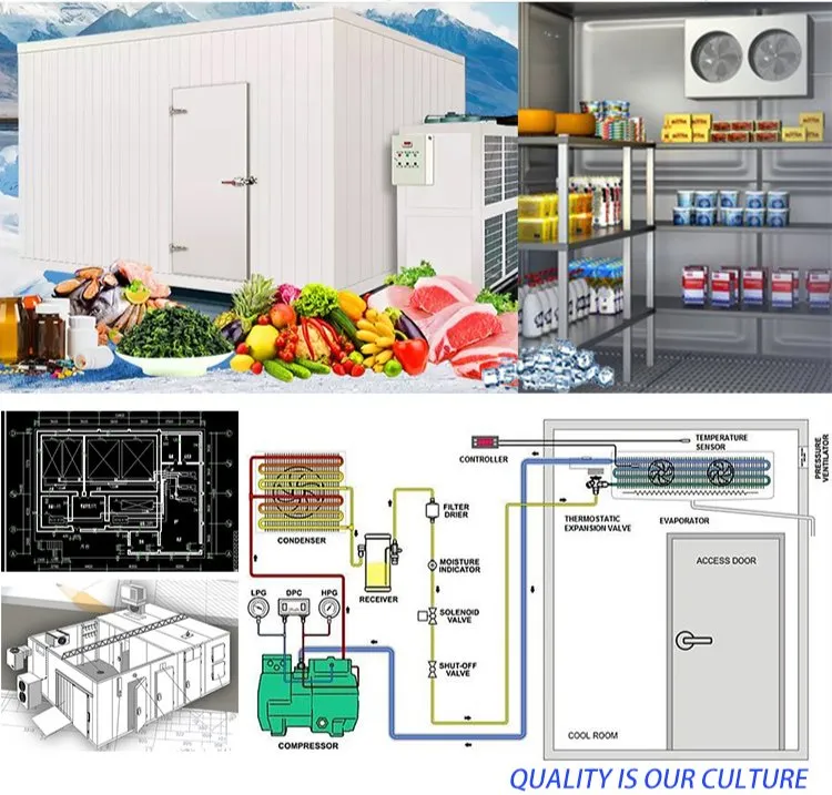Cold Storage Room Freezer