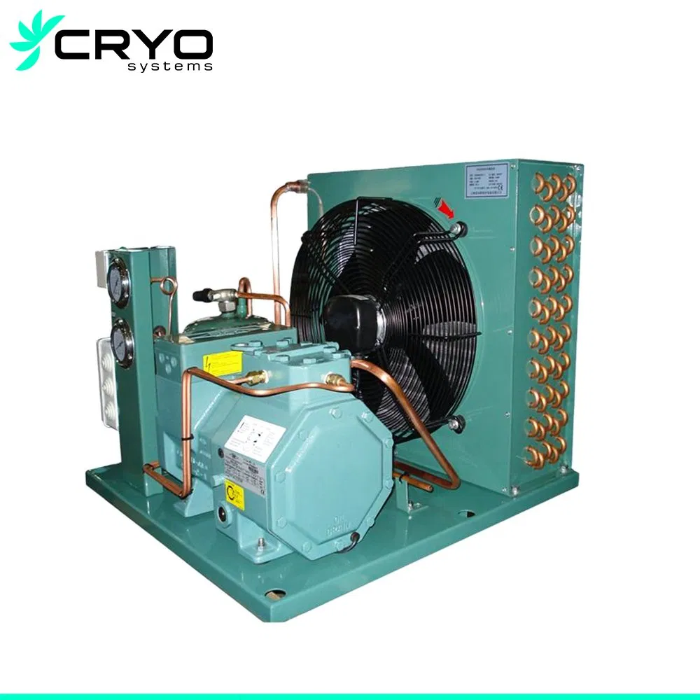 2HP Horizontal Condensing Unit World Famous Brand Compressor Unit for Cold Room