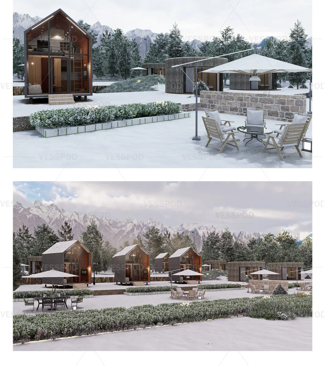 Prefabricated Triangle House View 4