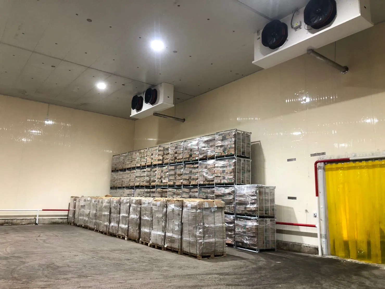 Energy-Saving Ammonia Air Cooling Unit for Food Cold Storage