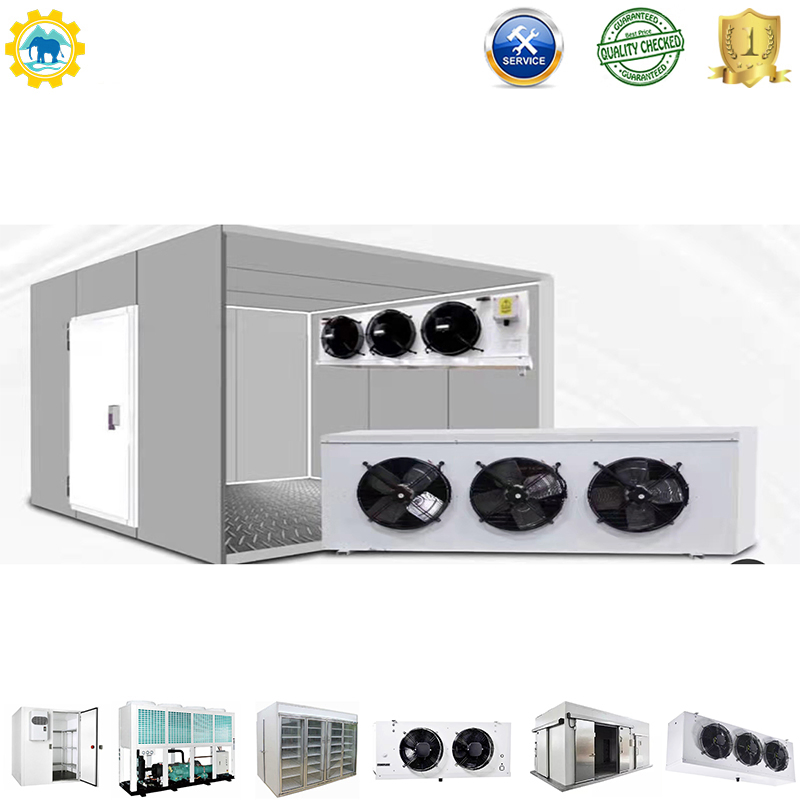 Retail Shop Refrigeration Unit with Bizter Compressor and Custom Evaporator