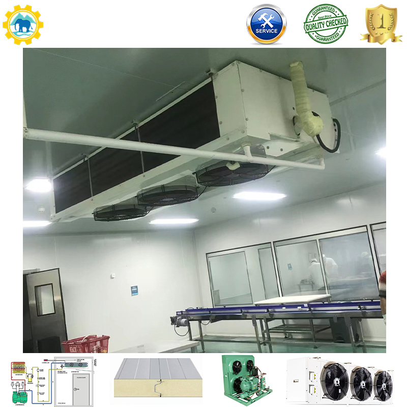 Cold Storage Room Freezer Container 100mm Panel Condensing Unit