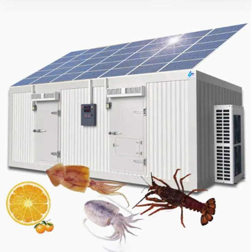 Energy-Efficient Mobile Cooling Solar Cold Rooms Container Units for Fruits and Vegetables