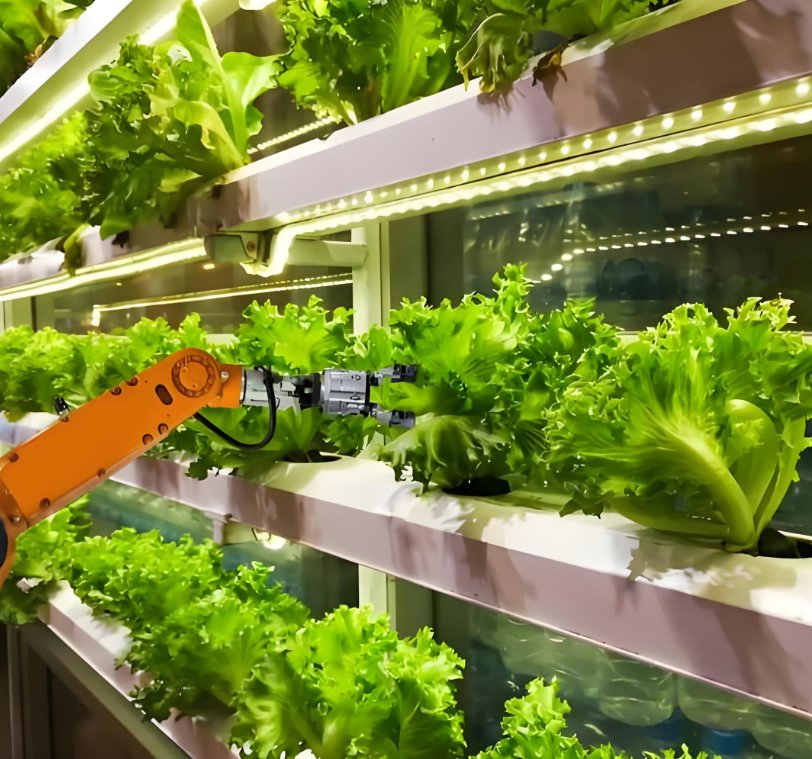 40 Foot Container Intelligent Mushroom Growing Bio-Secure Hatchery Unit