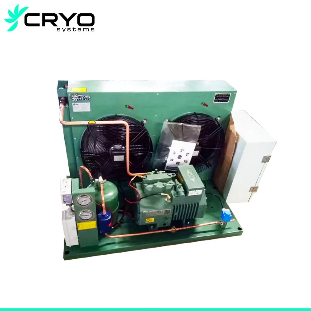 2HP Horizontal Condensing Unit World Famous Brand Compressor Unit for Cold Room