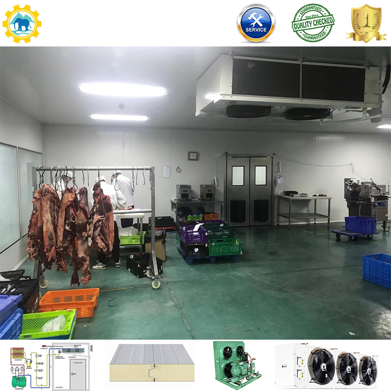 Cold Storage Room Freezer Container 100mm Panel Condensing Unit