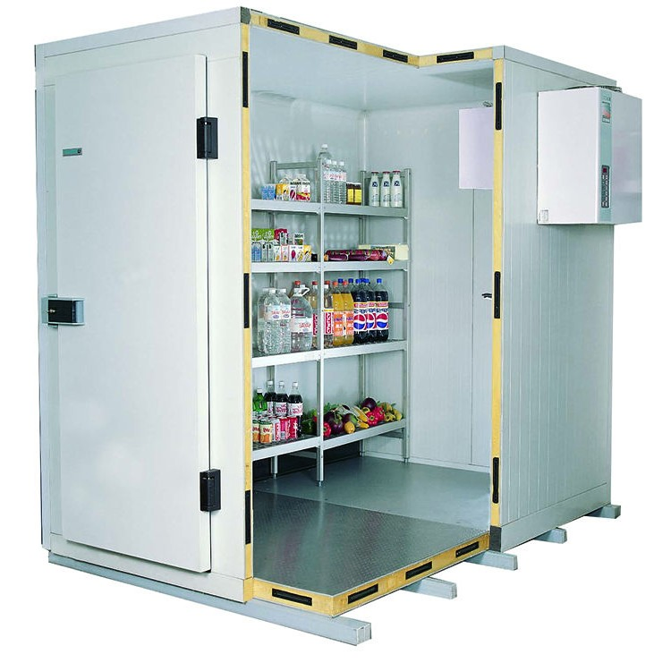 Advanced Mobile Cold Storage Room Superior Insulated Freezer Container for Meat and Fish Preservation
