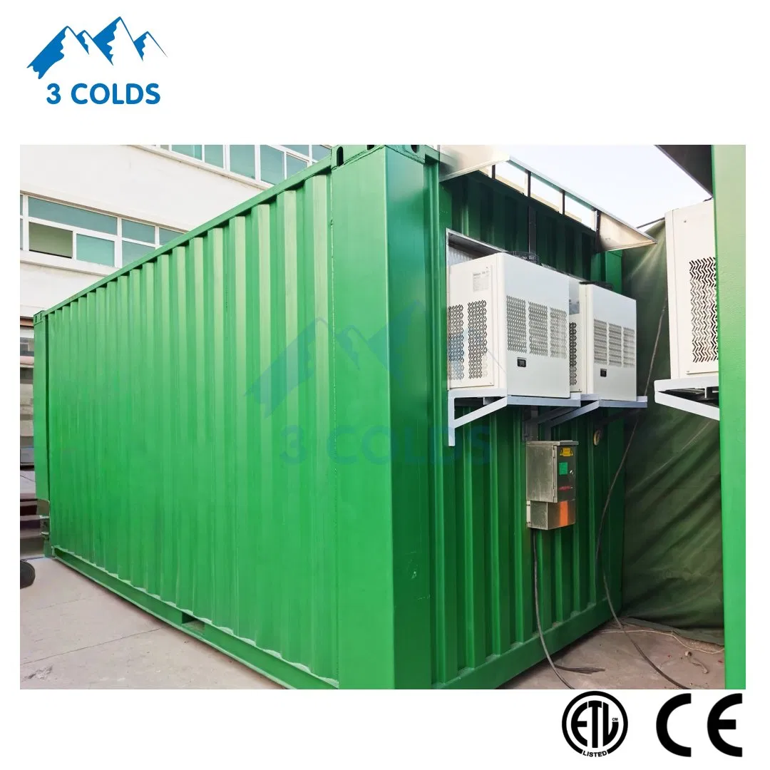 ETL Certificated Monoblock Refrigeration Unit for Cold Room Build in Container