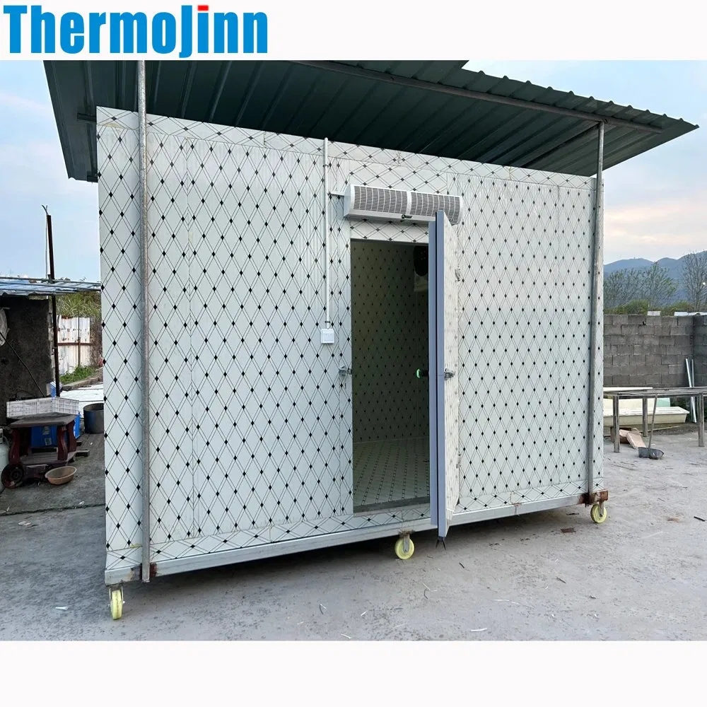 High-Performance Mobile Cold Storage Room Premium Freezer Container for Meat and Fish with Advanced Insulation and Refrigeration