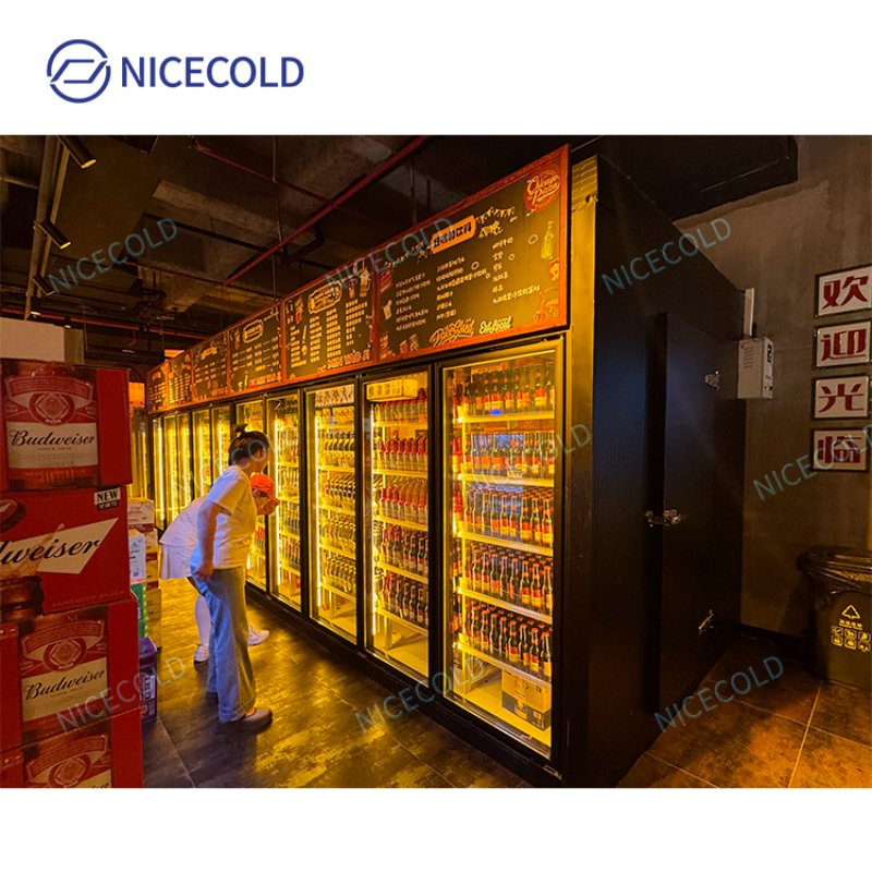 Premium Walk-in Beverage Cooler and Freezer Display Unit for Commercial Use