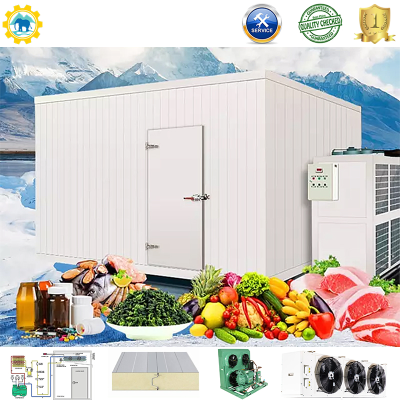 Premium Cold Room Unit Refrigeration Unit Small Cold Storage Container