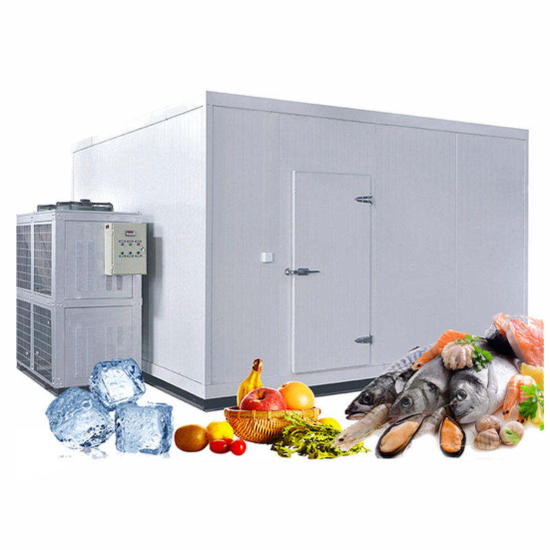 Energy-Efficient Mobile Cooling Solar Cold Rooms Container Units for Fruits and Vegetables