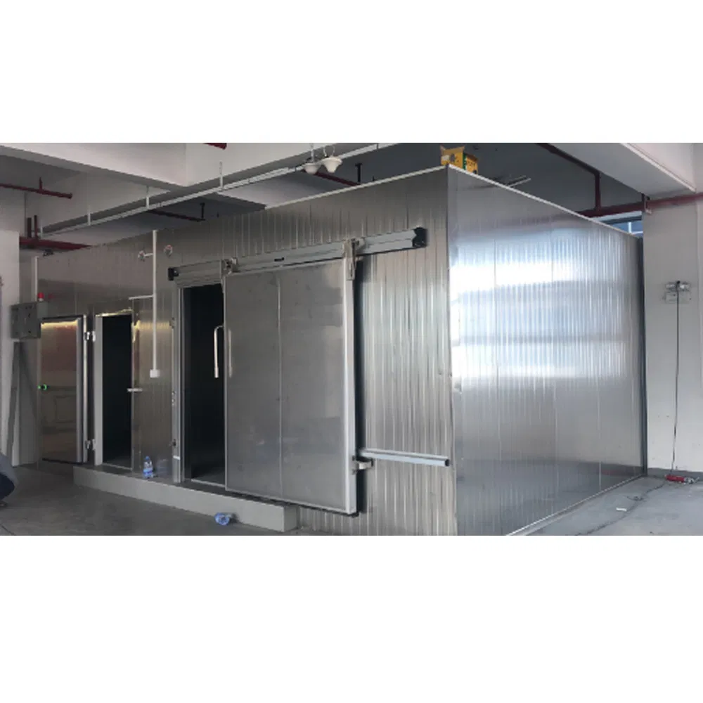 Energy-Efficient Mobile Cooling Solar Cold Rooms Container Units for Fruits and Vegetables